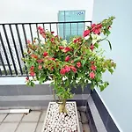 Top Luxury Penthouse Starhill